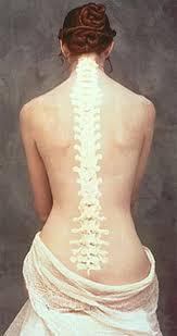 imagen de una columna vertebral en sobreimpresión

