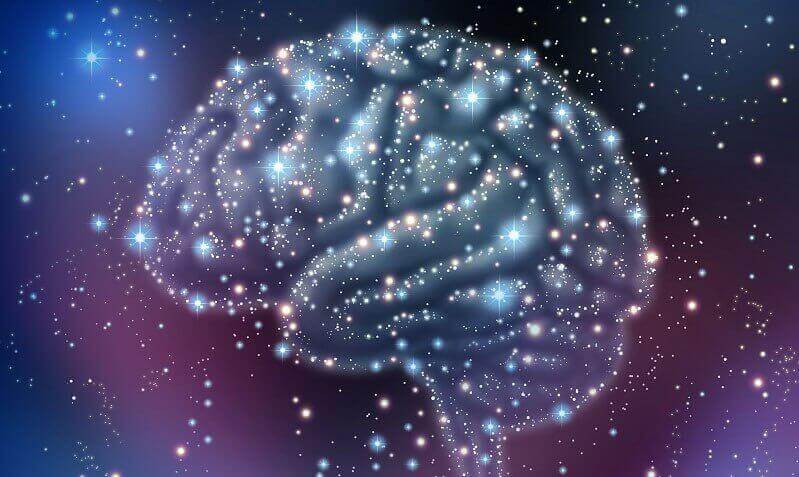 El cerebro es un universo complejo