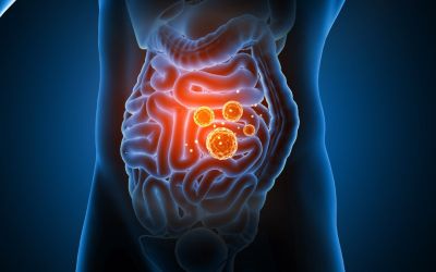 Dolor de espalda y microbiota