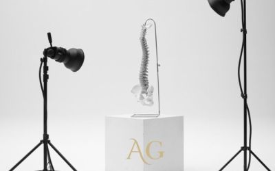 La columna vertebral bajo el foco de la salud diaria | Enfoque en quiropráctica y bienestar